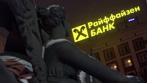 How the Austrian group earns in Russian business