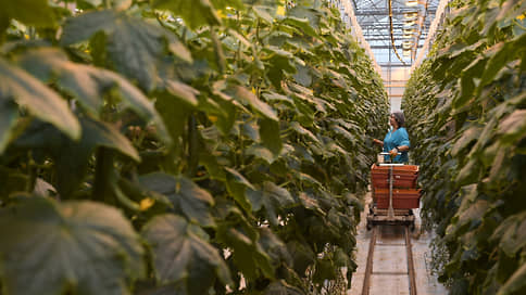Agricultural complex « Emelyanovsky » can change the owner