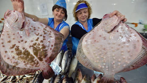 The wholesale price of the flounder grows against the background of a decline in catch