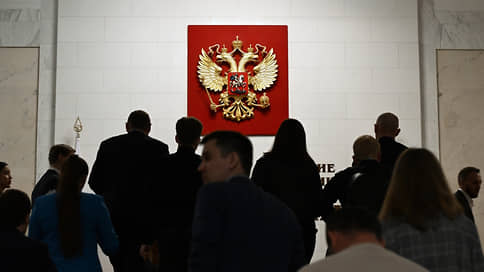 Why in 2025 they will not hold additional elections of State Duma deputies