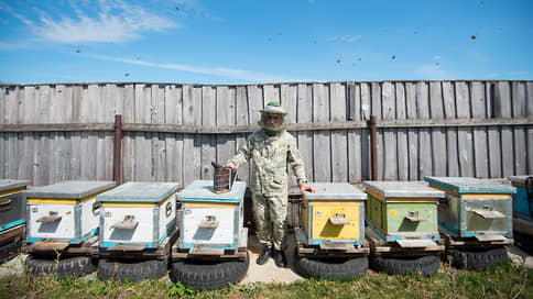 Russian beekeepers are waiting for a lean year