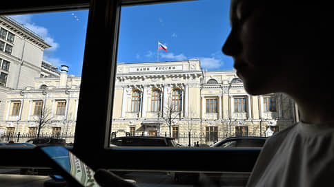 Central Bank is dissatisfied with the low insurance component in the DSG