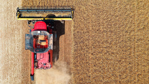 Experts reduced the forecast of wheat export