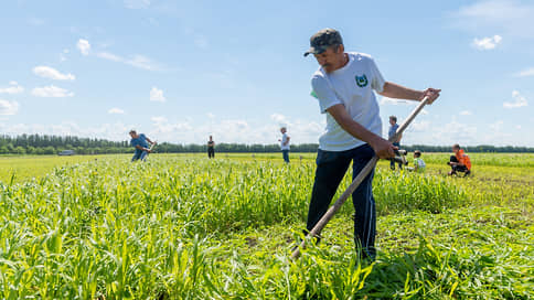 The number of agrarian companies in Russia is reduced