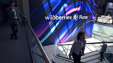 «Вайлдберриз» проверил бдительность ФАС