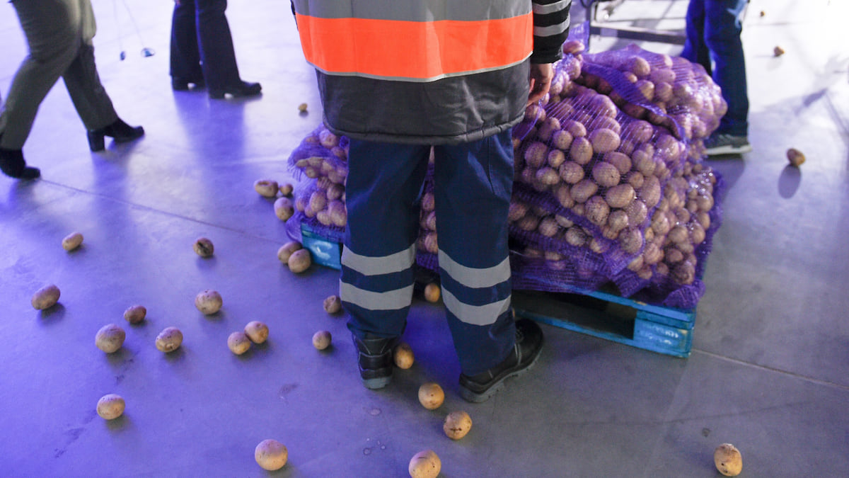 Продукты повседневного роста