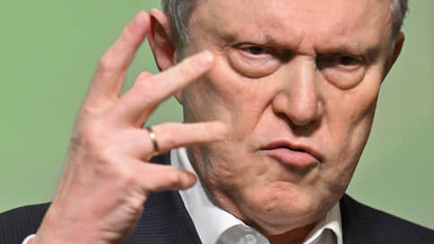 Яблоко держит нижнюю планку // Партия снова не попала на региональные выборы, но проявила активность на муниципальных