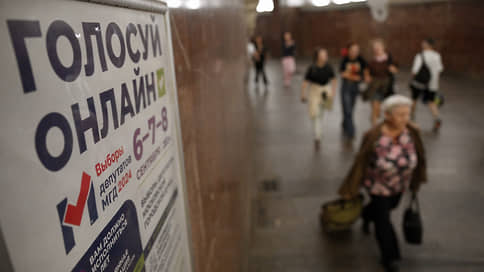 Дистанционная стабильность // Тестовое онлайн-голосование проблем не выявило