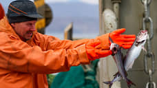 В сетях перемешались совладельцы