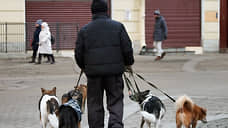 К отелю возник животный интерес