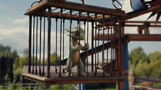 Воспитать дракона