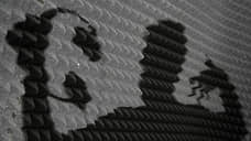 Из самых личных проявлений