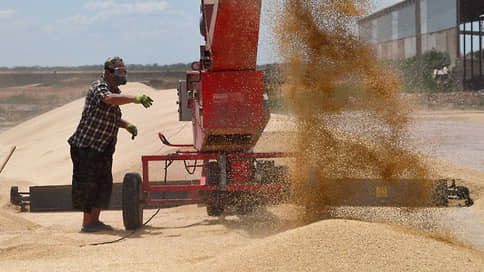Зерно спросит строго // Минсельхоз намерен ужесточить контроль за качеством зерна