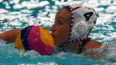 Поло-проводник