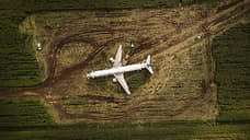 Чайки сбили тягу