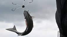 Лов остался без прописки