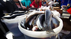 Рыбу тянет на дно