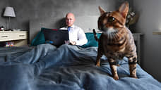 Удаленный труд дороже обычного