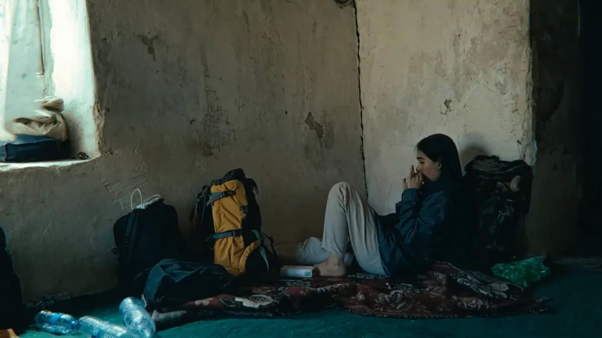 Попугай, лиса и луна