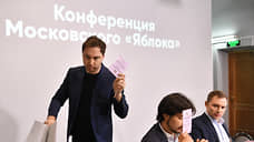 Московское «Яблоко» произвело вынужденную замену