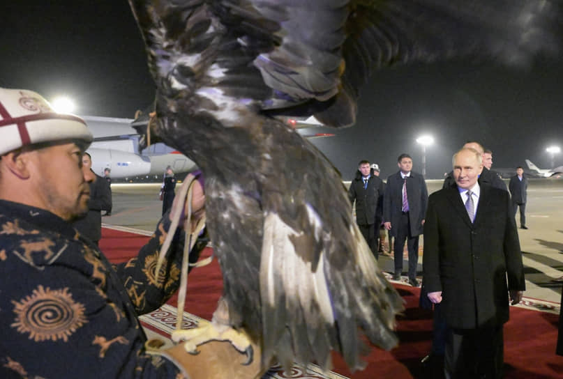 Владимир Путин обратил внимание на беркута. Беркут не обратил внимания на Владимира Путина