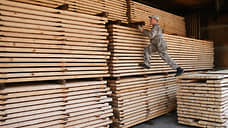 Чем дальше, тем меньше лес