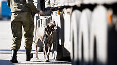 На логистов повесили собак