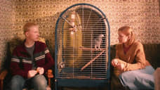 Молодые да раненые