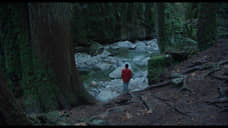 Непоследовательный изолятор