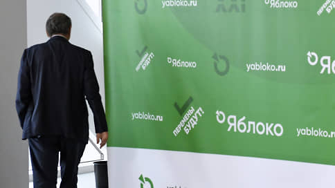 Взять и всех поделить // Партийцы и эксперты разошлись во мнениях о работе с демократическим электоратом