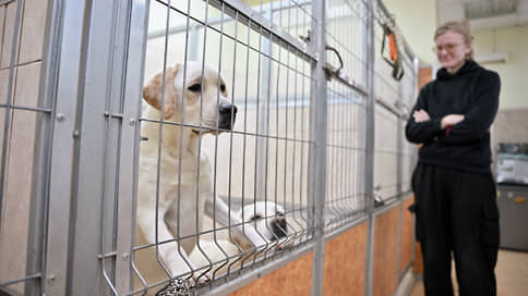 Владельцев животных накажут без прокуратуры // Депутаты подготовили поправки, упрощающие наказание за неправильное содержание питомцев