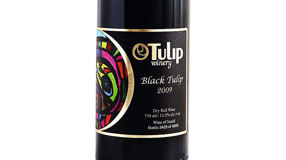  Tulip Black Tulip 2009