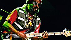 The Wailers в Зеленом театре