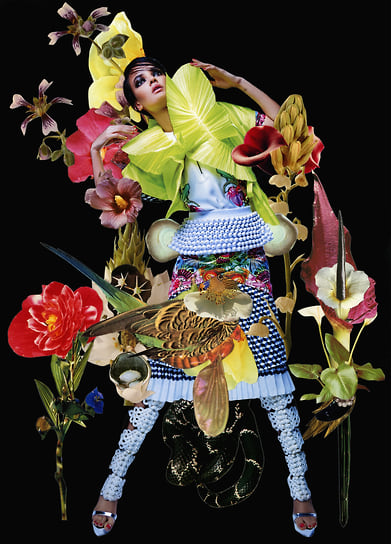 Данил Головкин. The Dream. 2013