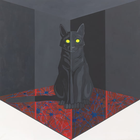 Black Cat in a Glass Box