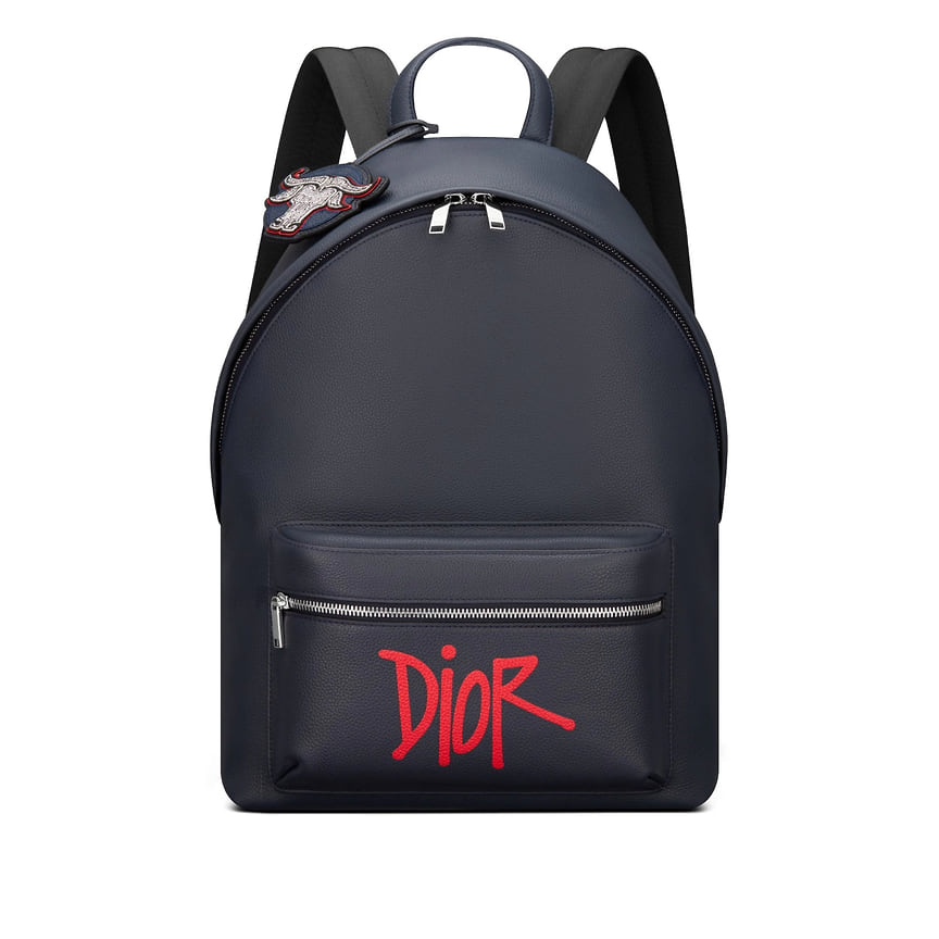 Dior, рюкзак Rider, цена по запросу, dior.com