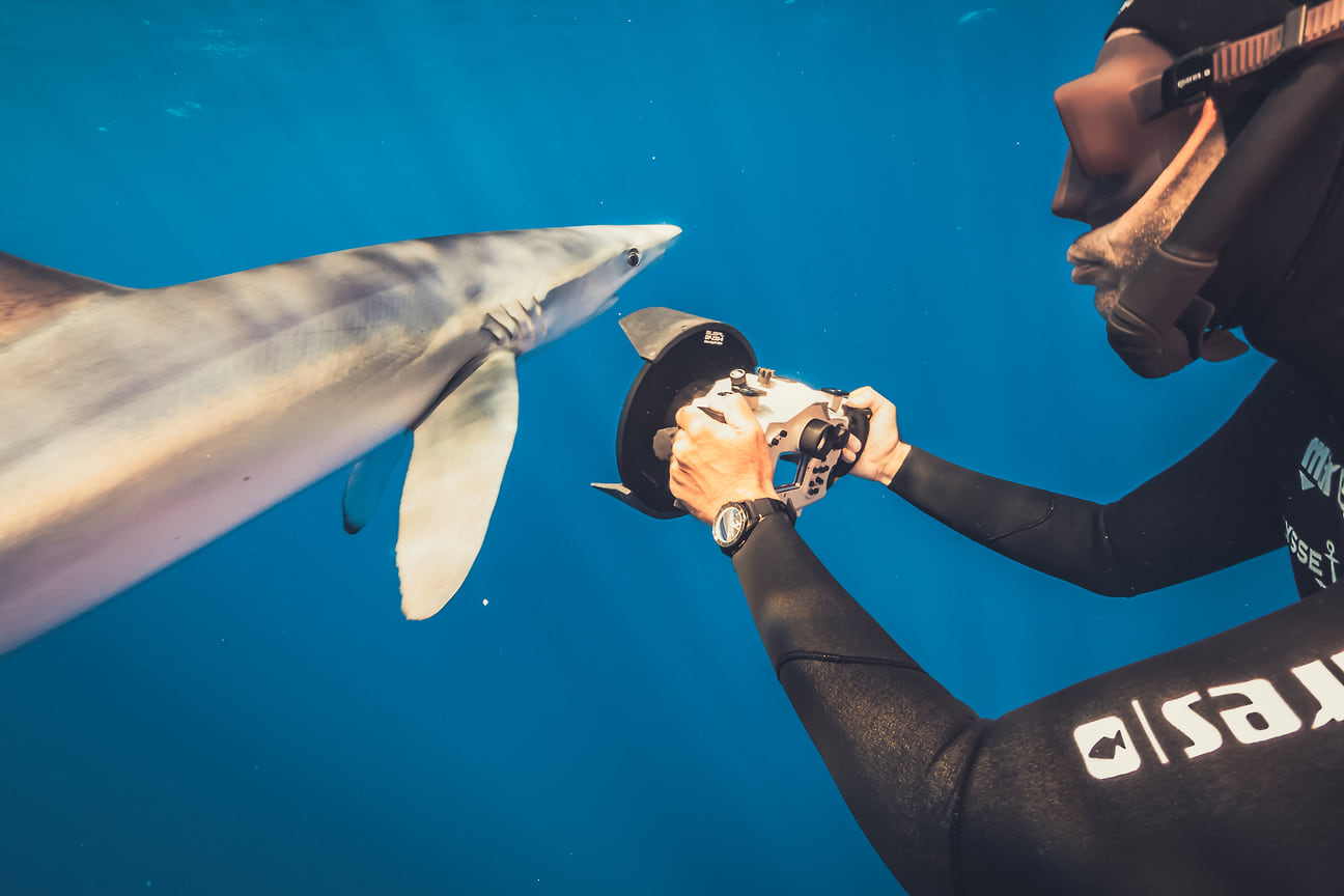 Дайвер Фредерик Буйль в часах Ulysse Nardin diver Lemon Shark