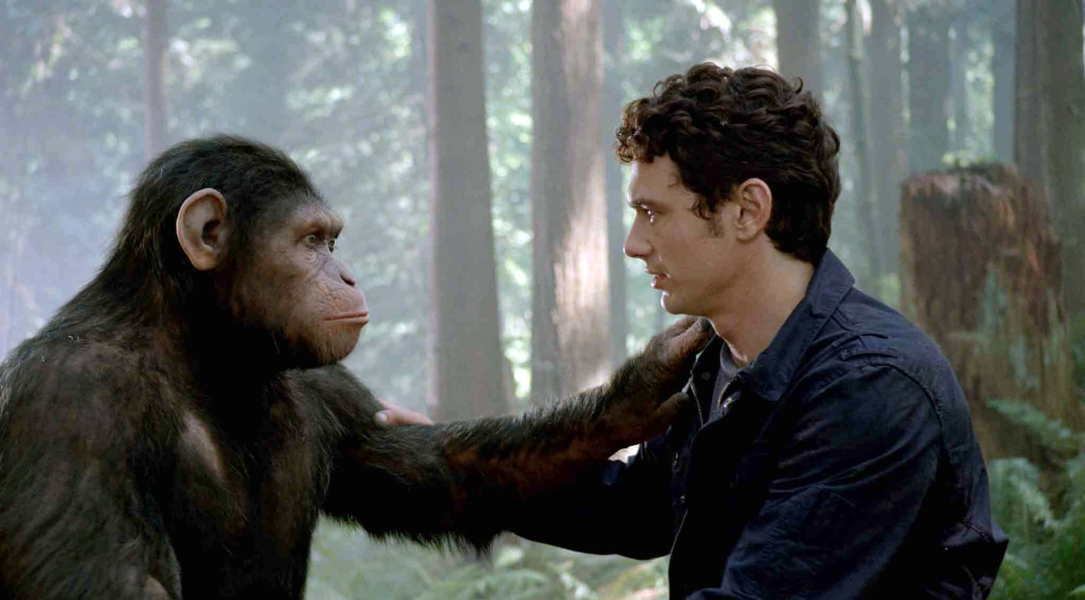 Кадр из фильма «Восстание планеты обезьян», 2013 год