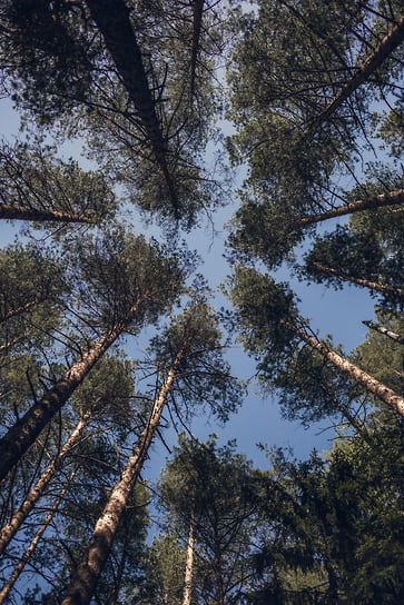 Энергетическая тропа в глэмпинге «Ново-Окатово»