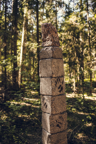 Энергетическая тропа в глэмпинге «Ново-Окатово»