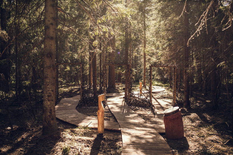 Энергетическая тропа в глэмпинге «Ново-Окатово»