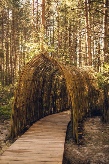 Энергетическая тропа в глэмпинге «Ново-Окатово»