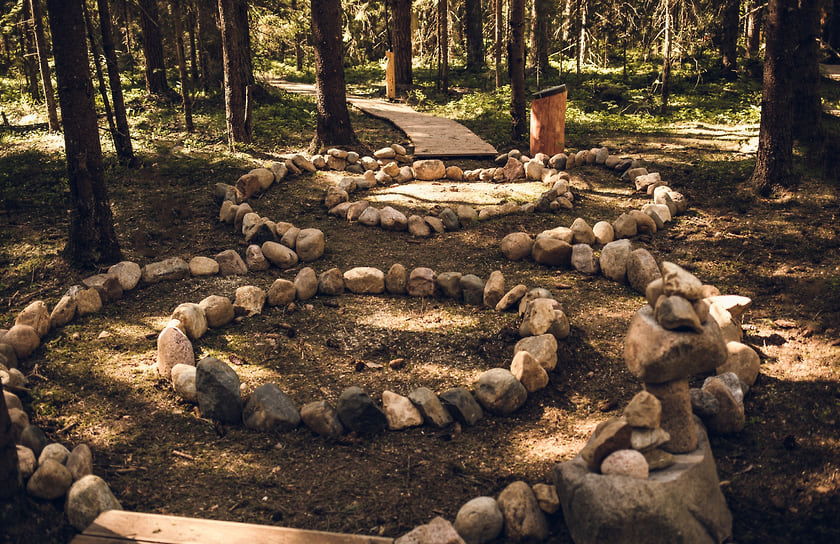 Энергетическая тропа в глэмпинге «Ново-Окатово»