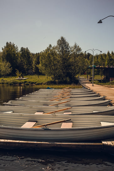 Энергетическая тропа в глэмпинге «Ново-Окатово»