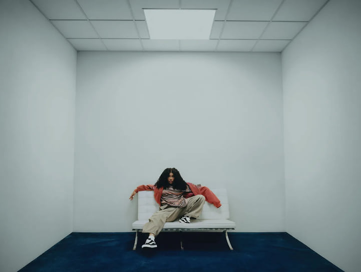Певица SZA в рекламной кампании Vans