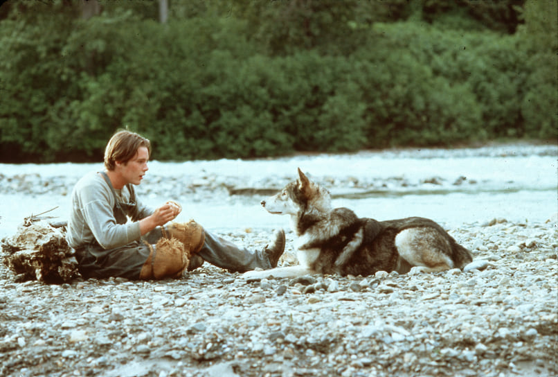 Итан Хоук в фильме «Белый клык», 1991 год
