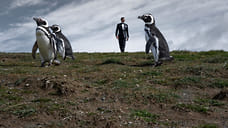 Мужчина носит Explorer