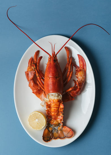 Лобстер