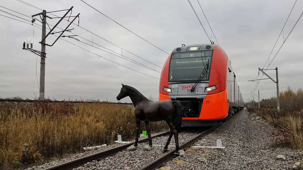 Электричка сама увидела лошадь и сама остановилась