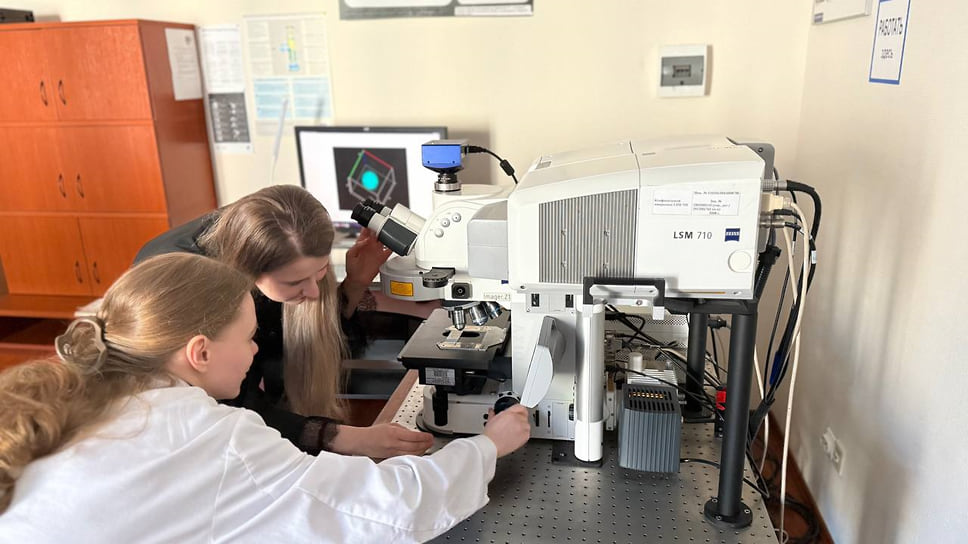 Измерения на лазерном сканирующем конфокальном микроскопе